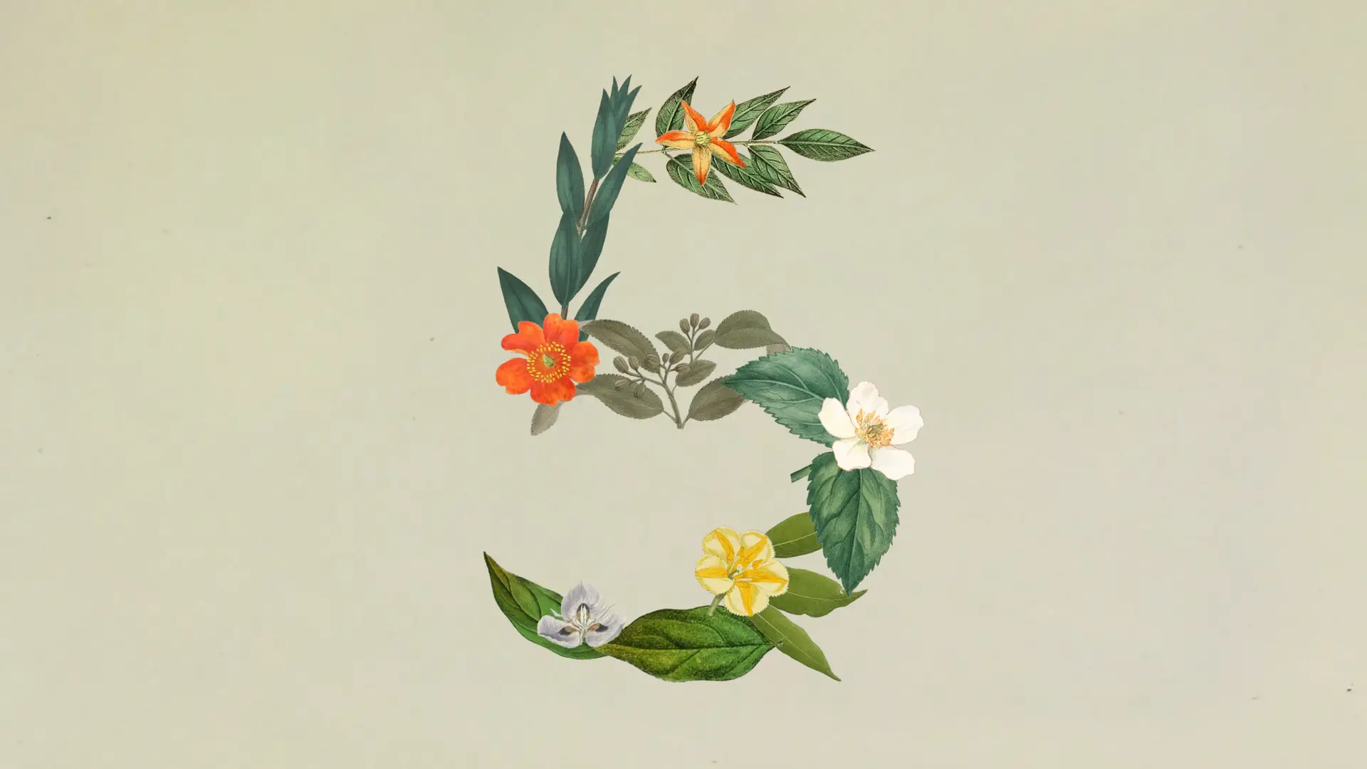Claude Sonnet 5 launch art: a mix of flowers and leaves forming the number 5 Claude Sonnet 5 launch art: a mix of flowers and leaves forming the number 5